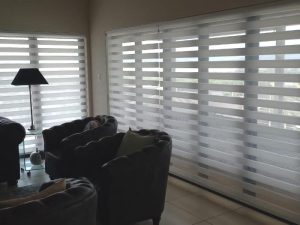 Vision/Zebra Blinds